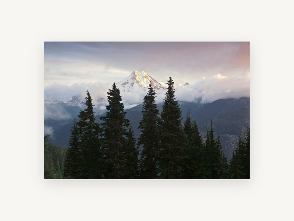 Alpine Glow Firs, snowy mountain peak evergreen photograph, landscape canvas wall art print, front view