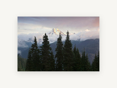 Alpine Glow Firs, snowy mountain peak evergreen photograph, landscape canvas wall art print, front view