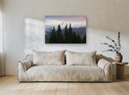 Alpine Glow Firs landscape canvas print on the wall of a living room