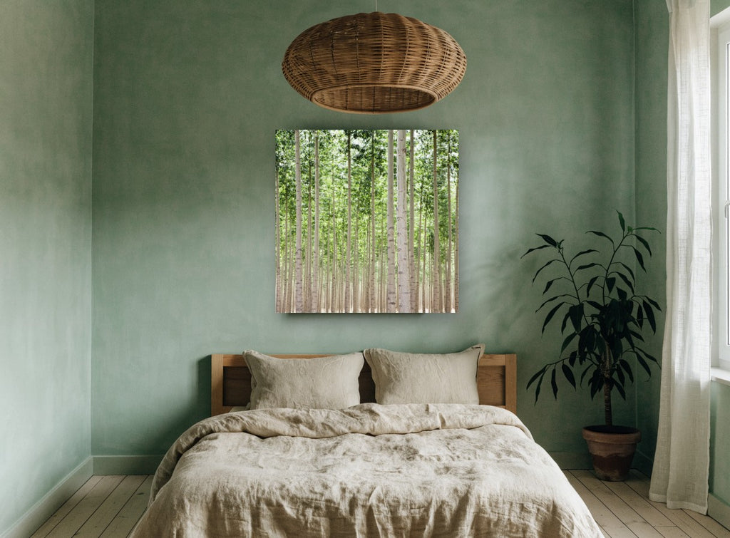 Poplar Grove Rows landscape canvas print on the wall of a bedroom
