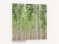 Poplar Grove Rows, tall poplar tree grove photograph, landscape canvas wall art print ready to hang