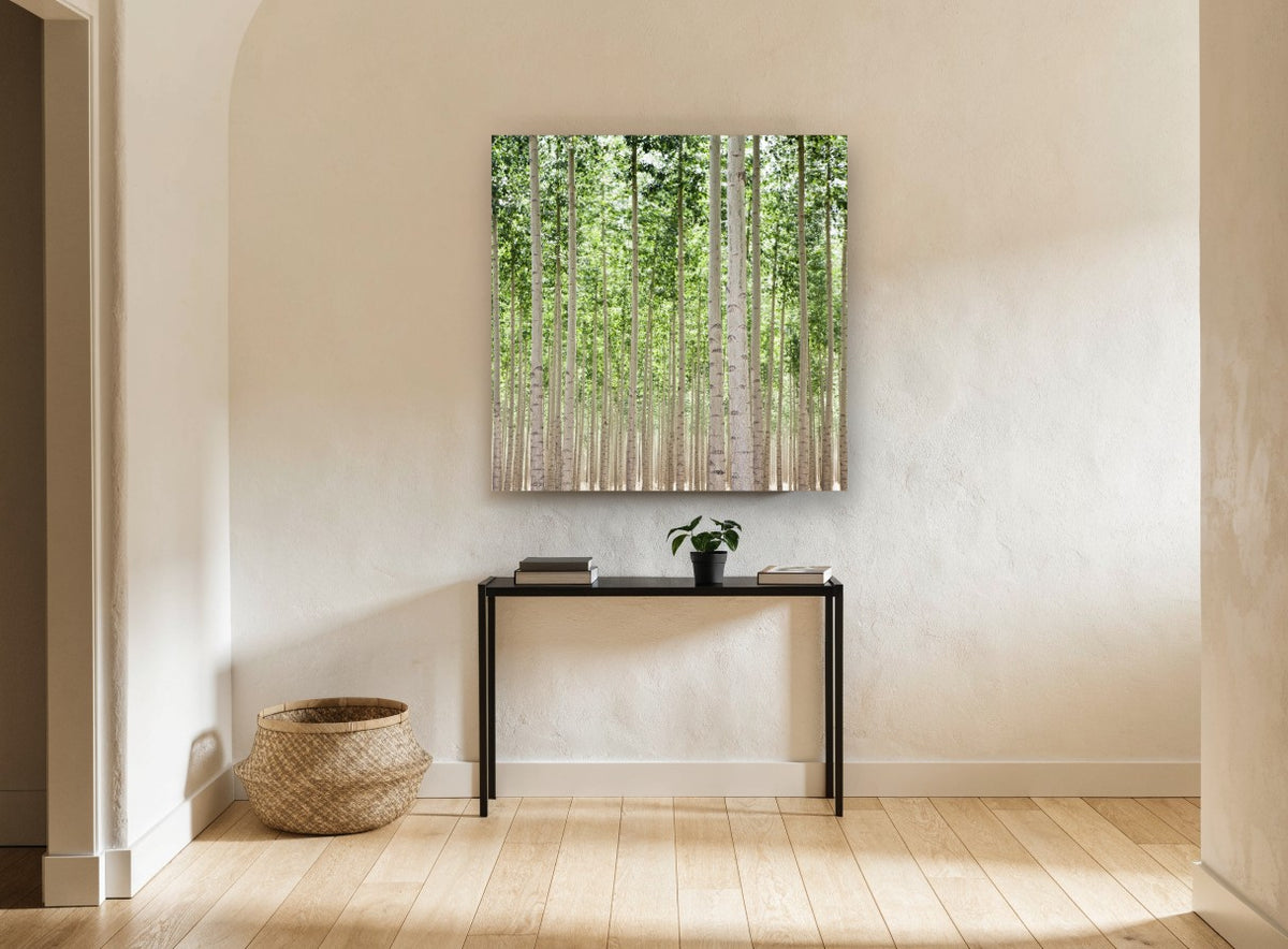 Poplar Grove Rows landscape canvas print on the wall of a hallway