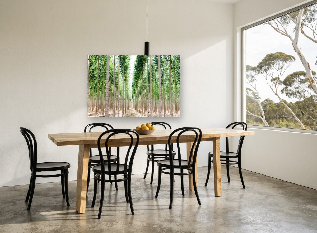 Poplar Avenue Light landscape canvas print on the wall of a dining room