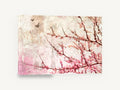 Blush Redbud Butterflies, pink blossom branches butterflies textured, floral canvas wall art print ready to hang
