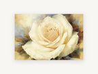 Cream Rose Bloom, floral canvas wall art print, front view