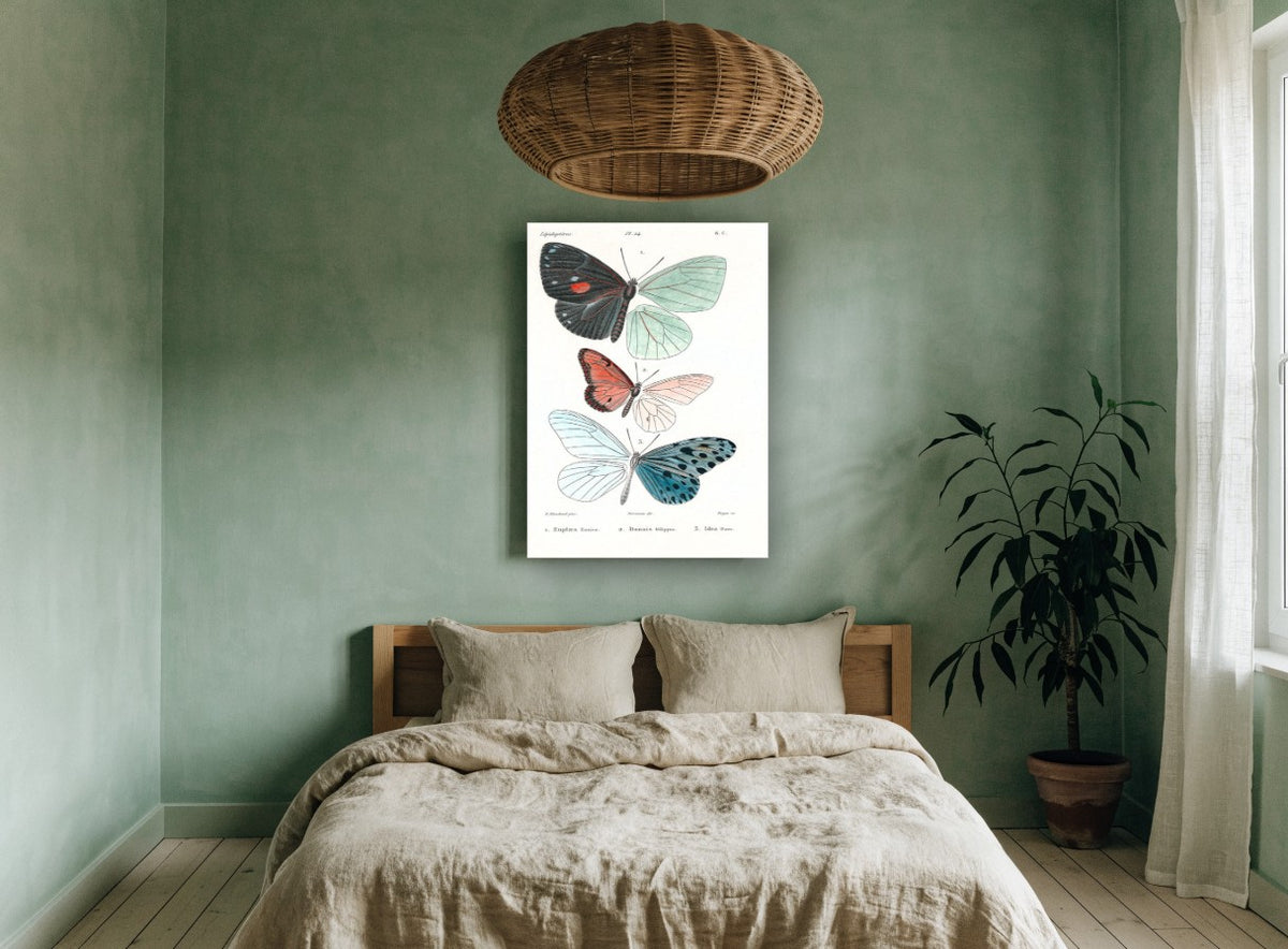 Three Butterflies Plate vintage canvas print on the wall of a bedroom