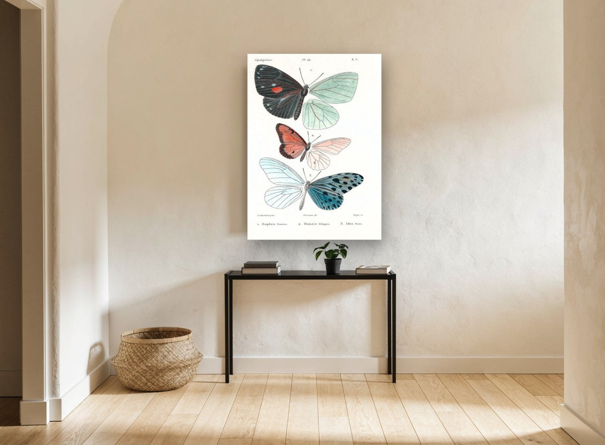 Three Butterflies Plate vintage canvas print on the wall of a hallway