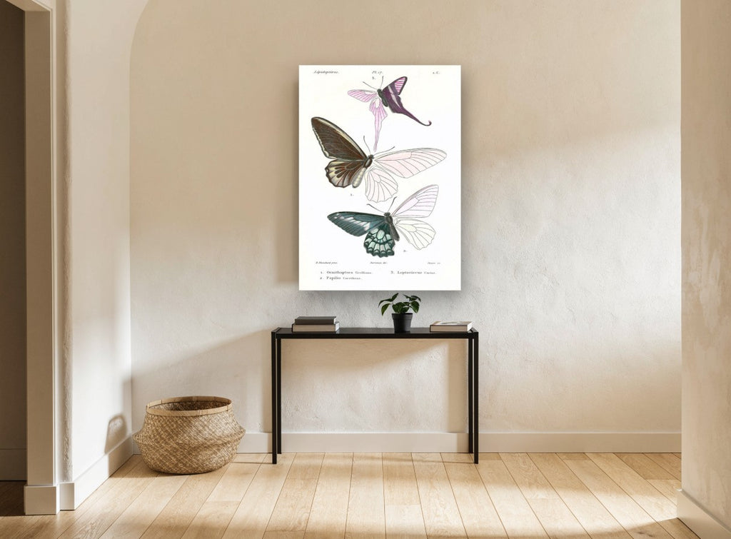 Three Half-Coloured Butterflies vintage canvas print on the wall of a hallway