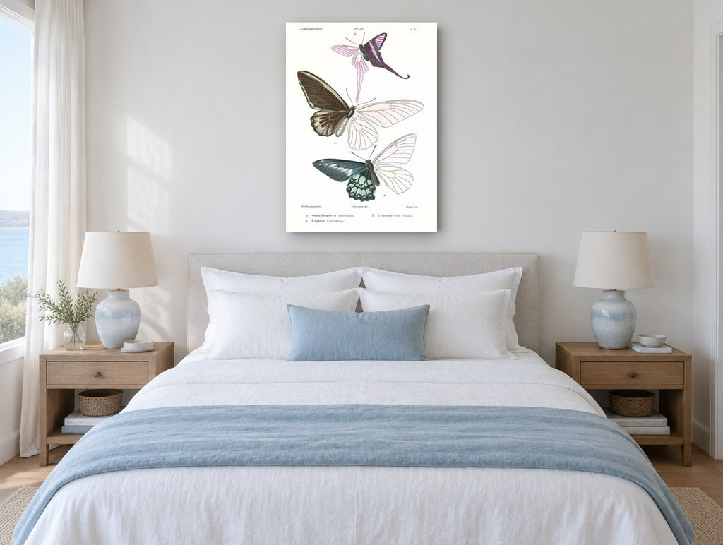Three Half-Coloured Butterflies vintage canvas print on the wall of a coastal bedroom