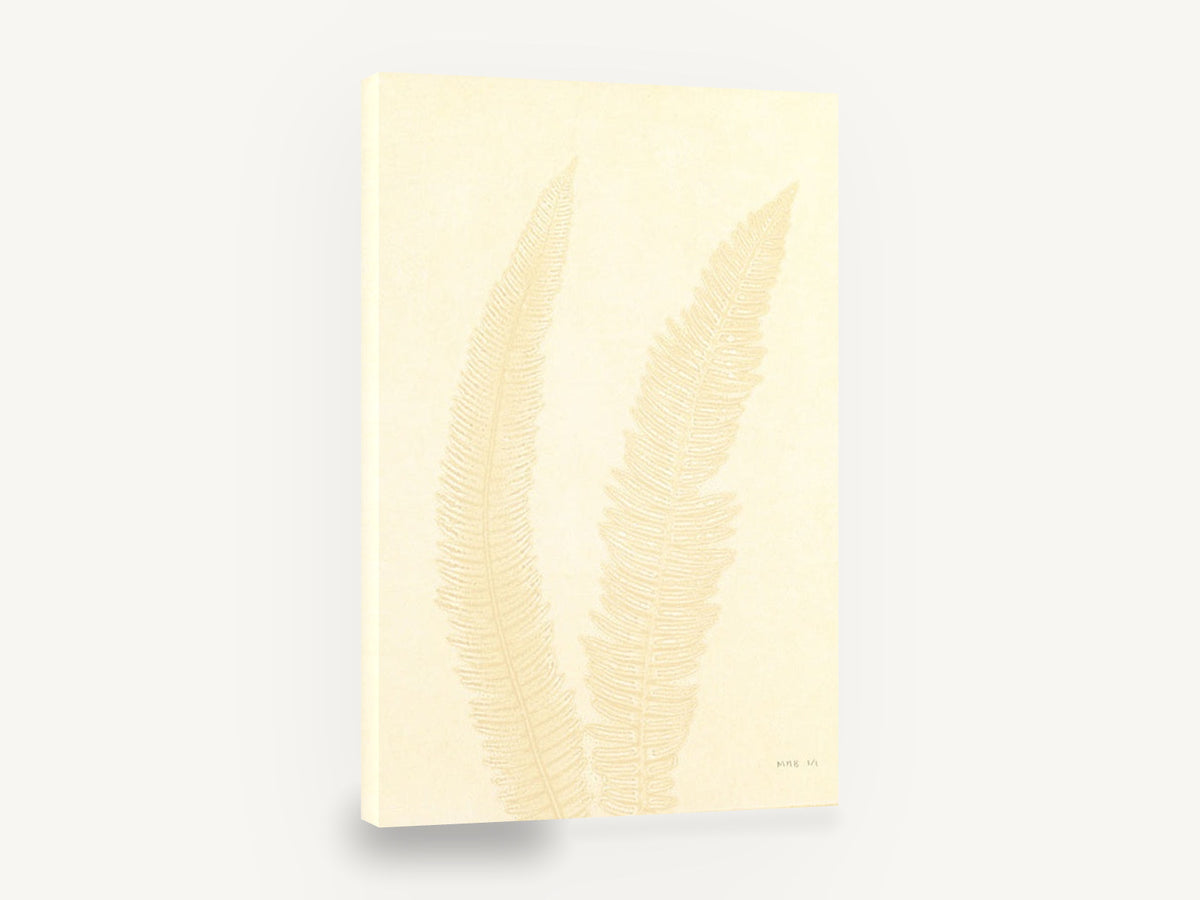 Pale Cream Fern Pair, cream fern fronds botanical, floral canvas wall art print ready to hang