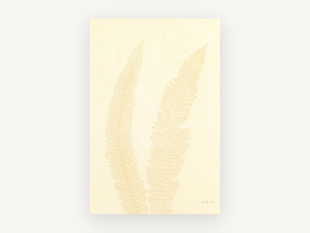 Pale Cream Fern Pair, floral canvas wall art print, front view
