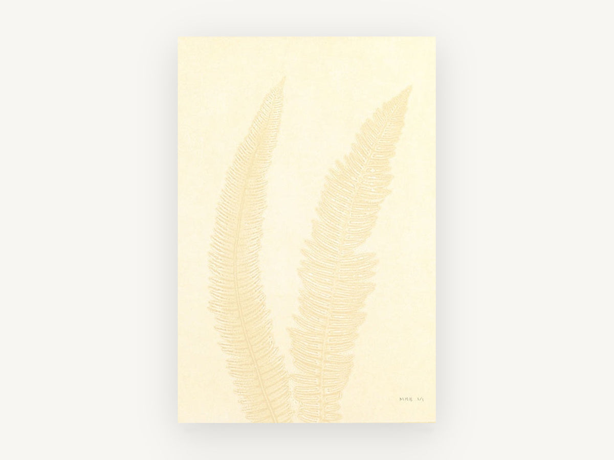 Pale Cream Fern Pair, floral canvas wall art print, front view