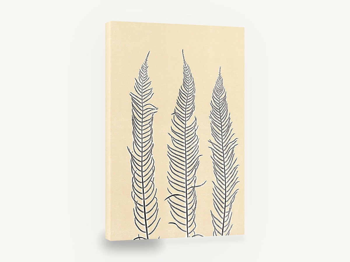 Three Fern Fronds, fern fronds botanical silhouette, floral canvas wall art print ready to hang