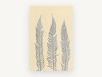 Three Fern Fronds, floral canvas wall art print, front view