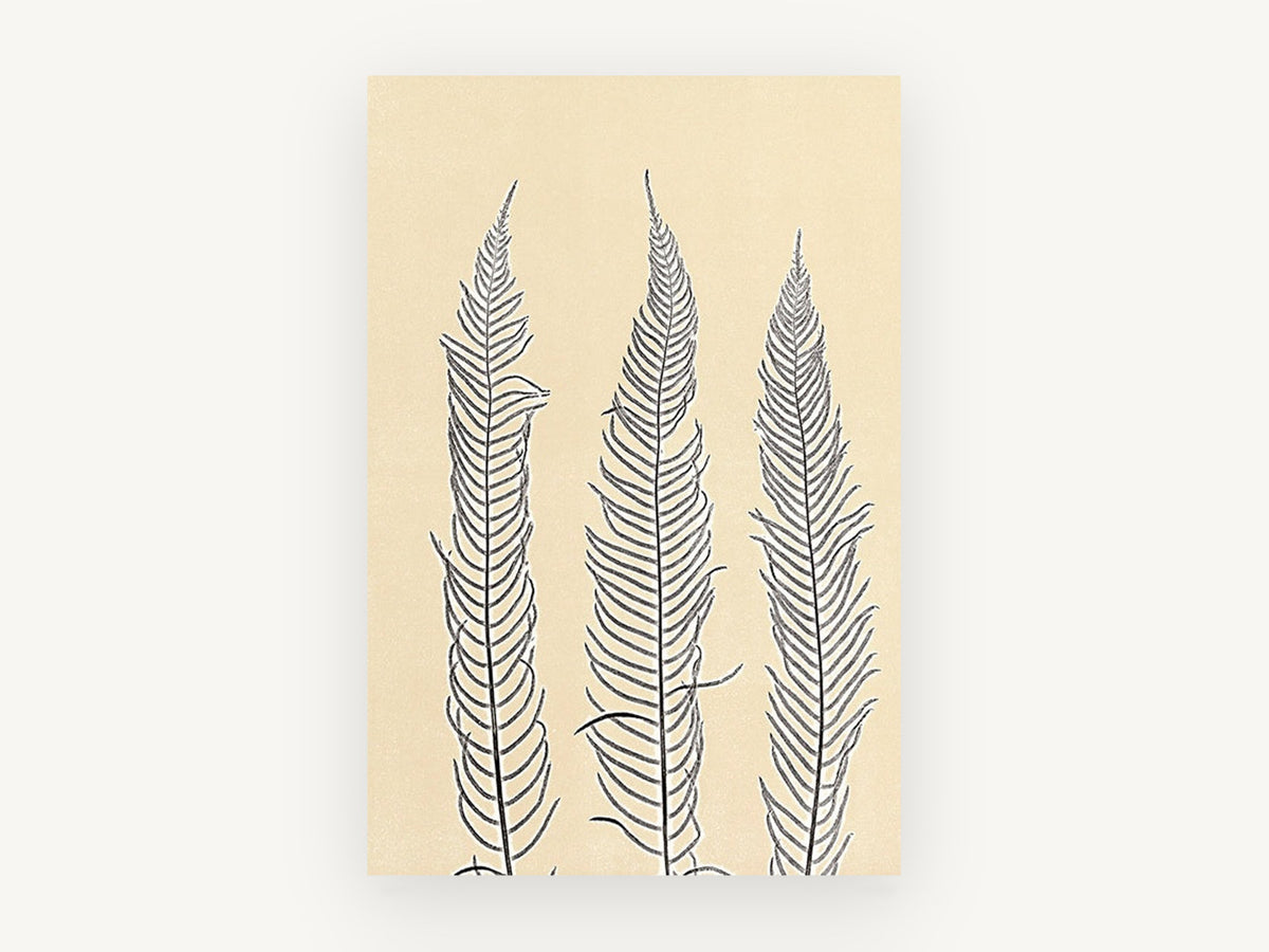 Three Fern Fronds, floral canvas wall art print, front view