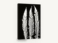 Three White Fern Fronds, black and white fern frond silhouette, floral canvas wall art print ready to hang