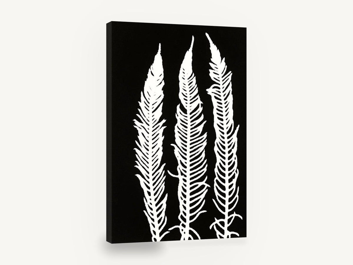 Three White Fern Fronds, black and white fern frond silhouette, floral canvas wall art print ready to hang