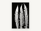 Three White Fern Fronds, floral canvas wall art print, front view