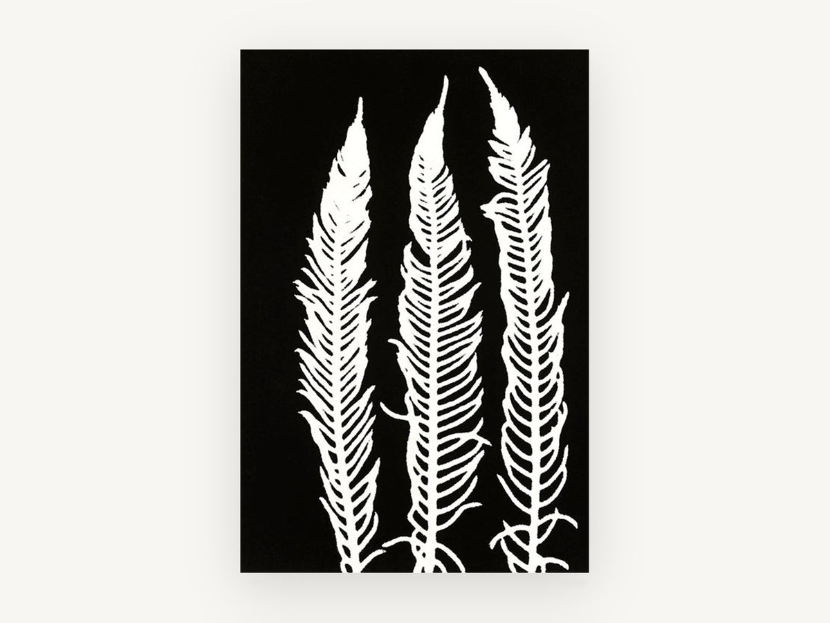Three White Fern Fronds, floral canvas wall art print, front view