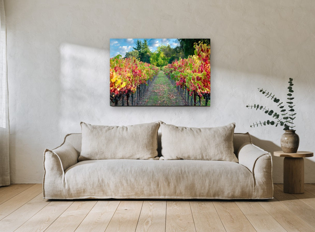 Autumn Vineyard Path landscape canvas print on the wall of a living room