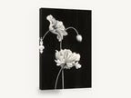 Ruffled Poppies at Night, black and white poppy flowers painting, floral canvas wall art print ready to hang