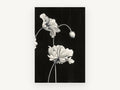 Ruffled Poppies at Night, floral canvas wall art print, front view