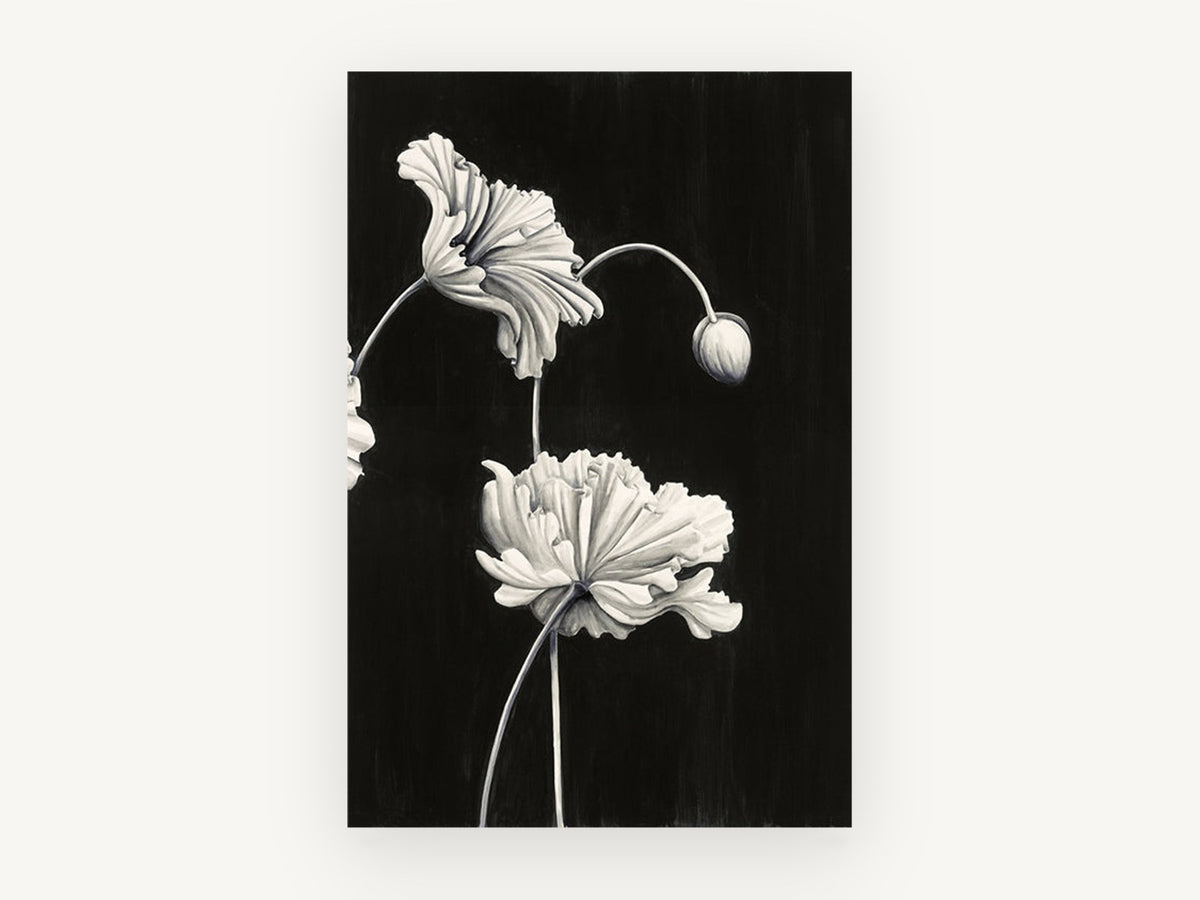 Ruffled Poppies at Night, floral canvas wall art print, front view