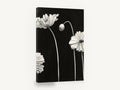 Pale Poppies at Night, black and white poppy flowers painting, floral canvas wall art print ready to hang