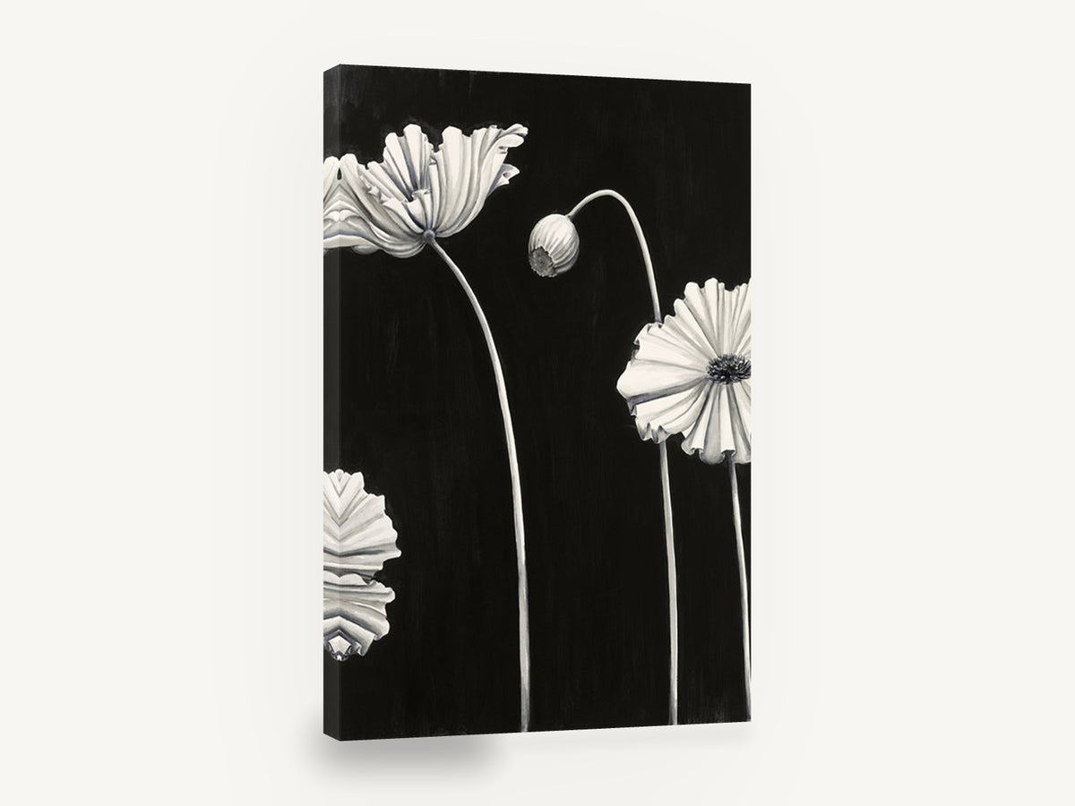 Pale Poppies at Night, black and white poppy flowers painting, floral canvas wall art print ready to hang