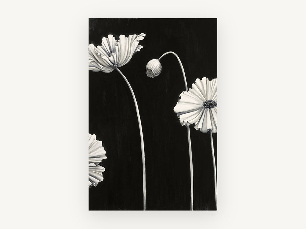 Pale Poppies at Night, floral canvas wall art print, front view