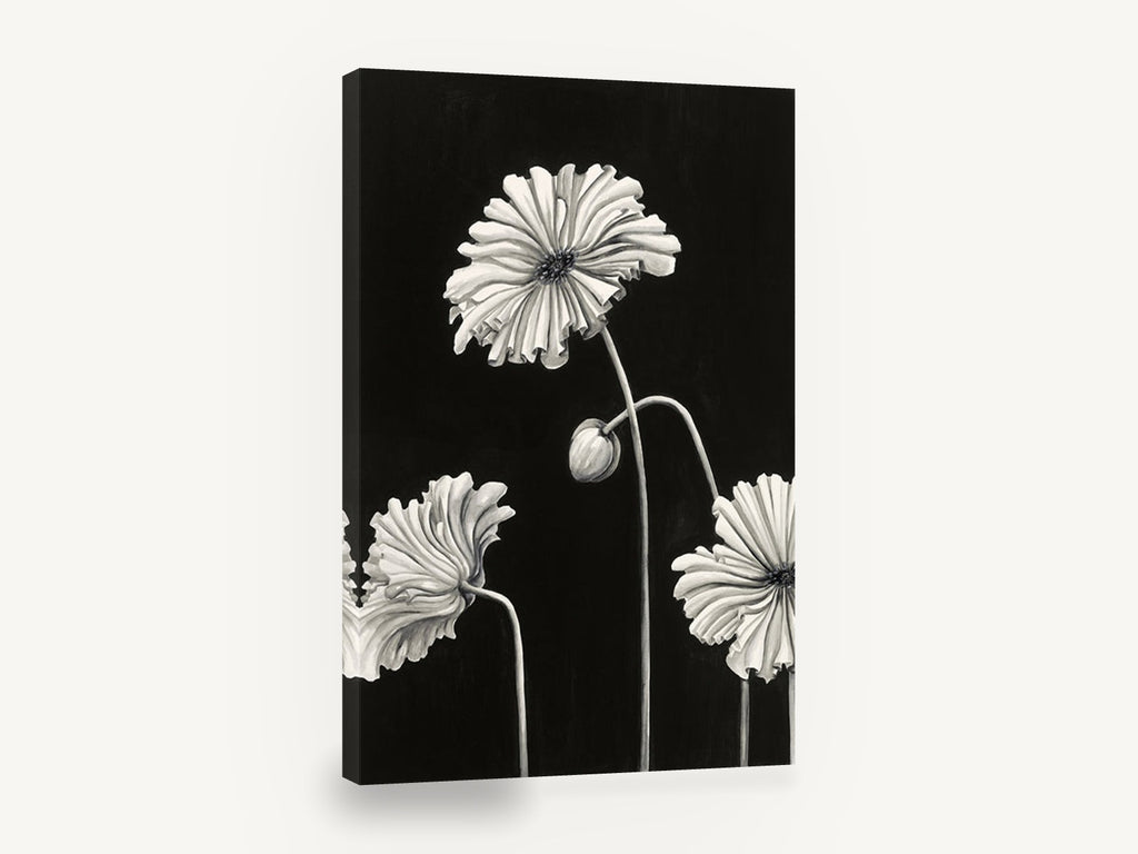 Ruffled Poppies at Night, black and white poppy floral illustration, floral canvas wall art print ready to hang