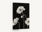 Ruffled Poppies at Night, black and white poppy floral illustration, floral canvas wall art print ready to hang