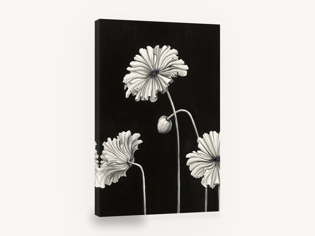 Ruffled Poppies at Night, black and white poppy floral illustration, floral canvas wall art print ready to hang