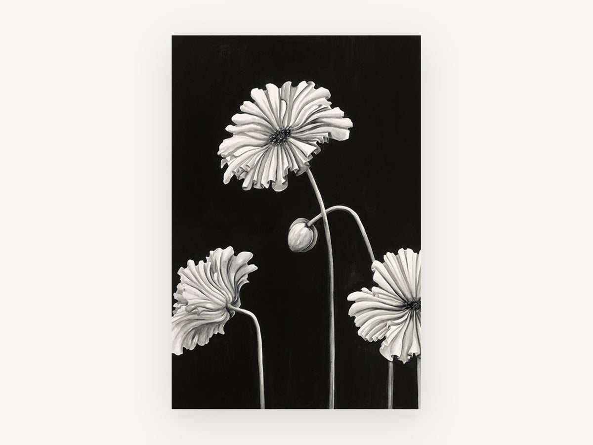 Ruffled Poppies at Night, floral canvas wall art print, front view