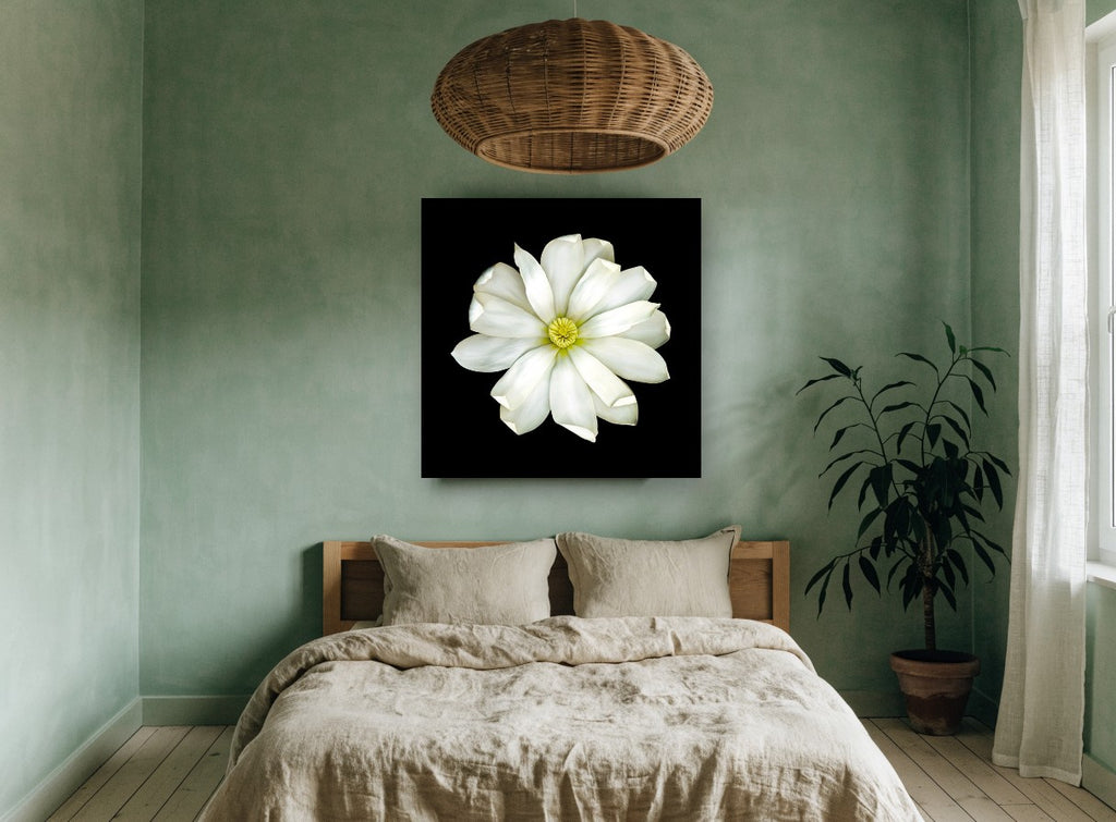 White Magnolia on Black floral canvas print on the wall of a bedroom