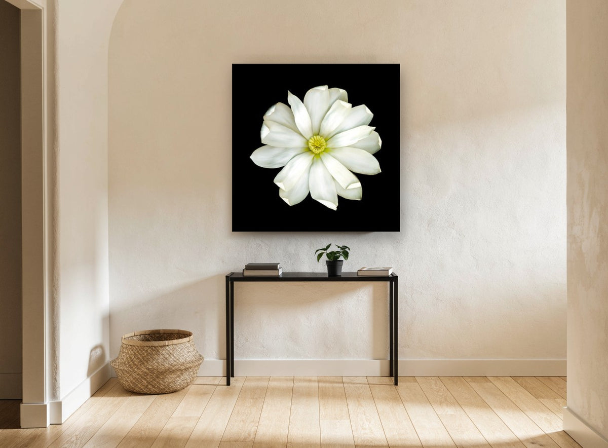 White Magnolia on Black floral canvas print on the wall of a hallway
