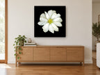 White Magnolia on Black floral canvas print on the wall of a living room above a sideboard