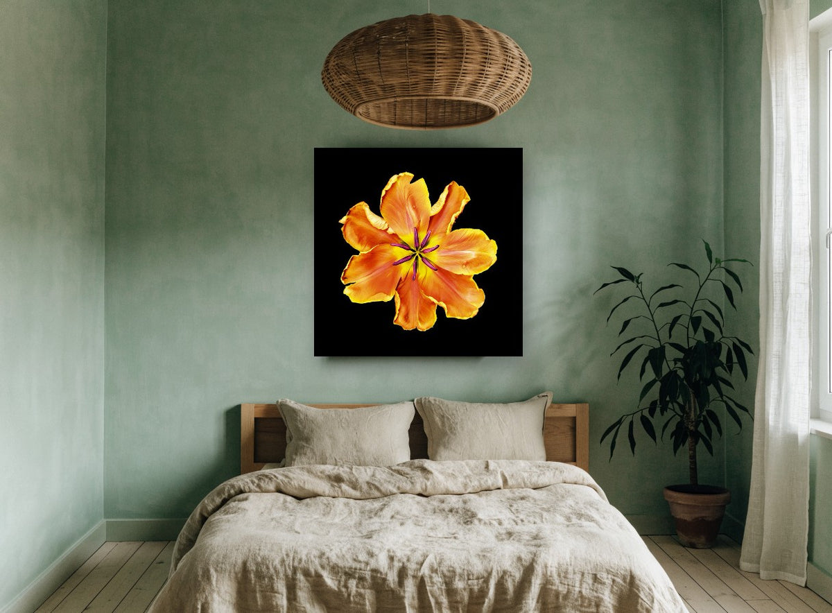 Apricot Tulip Burst floral canvas print on the wall of a bedroom