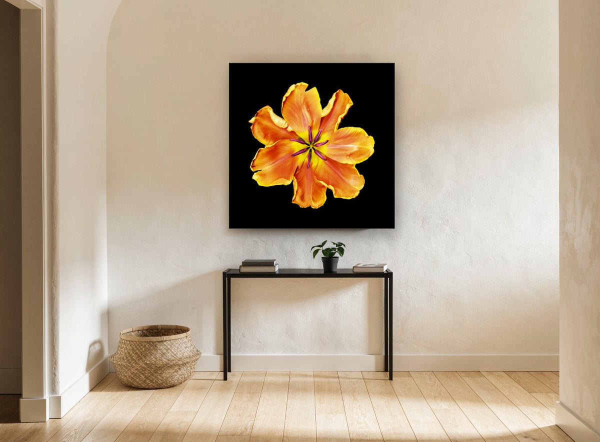 Apricot Tulip Burst floral canvas print on the wall of a hallway