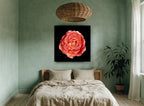 Coral Rose on Black floral canvas print on the wall of a bedroom