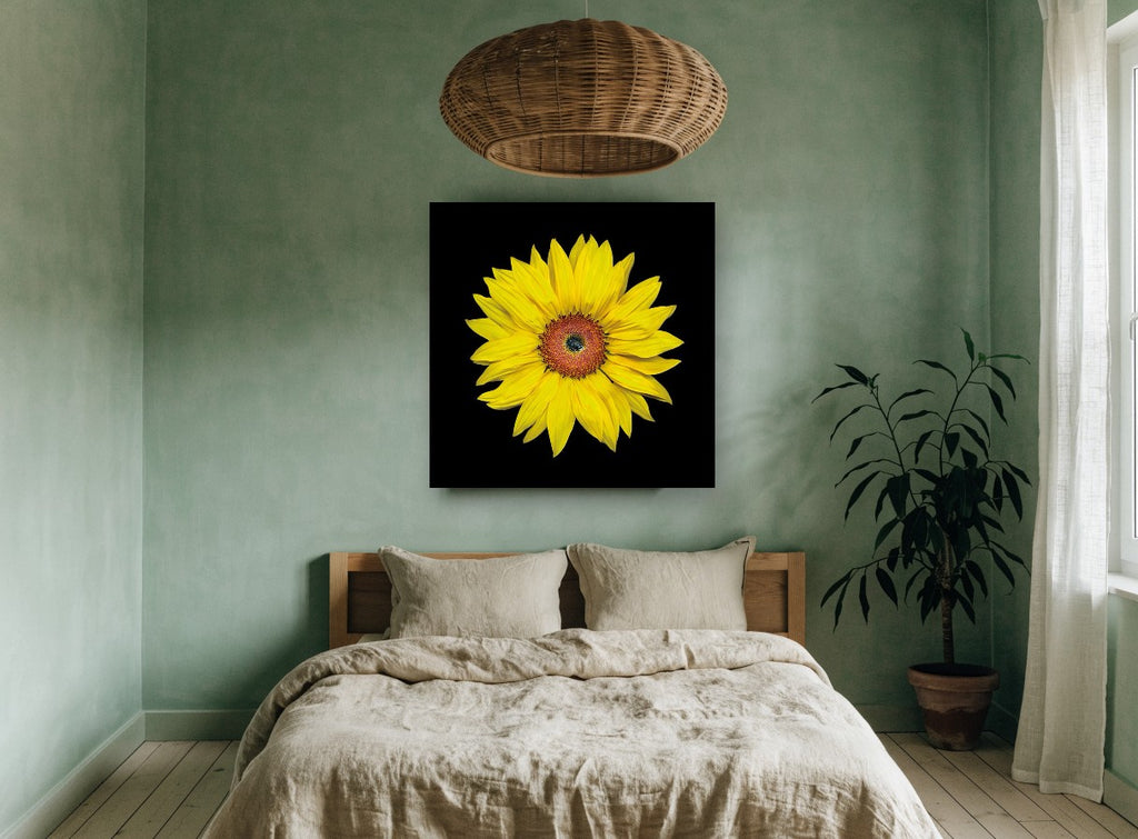 Sunflower on Black floral canvas print on the wall of a bedroom
