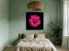Magenta Daisy Burst floral canvas print on the wall of a bedroom