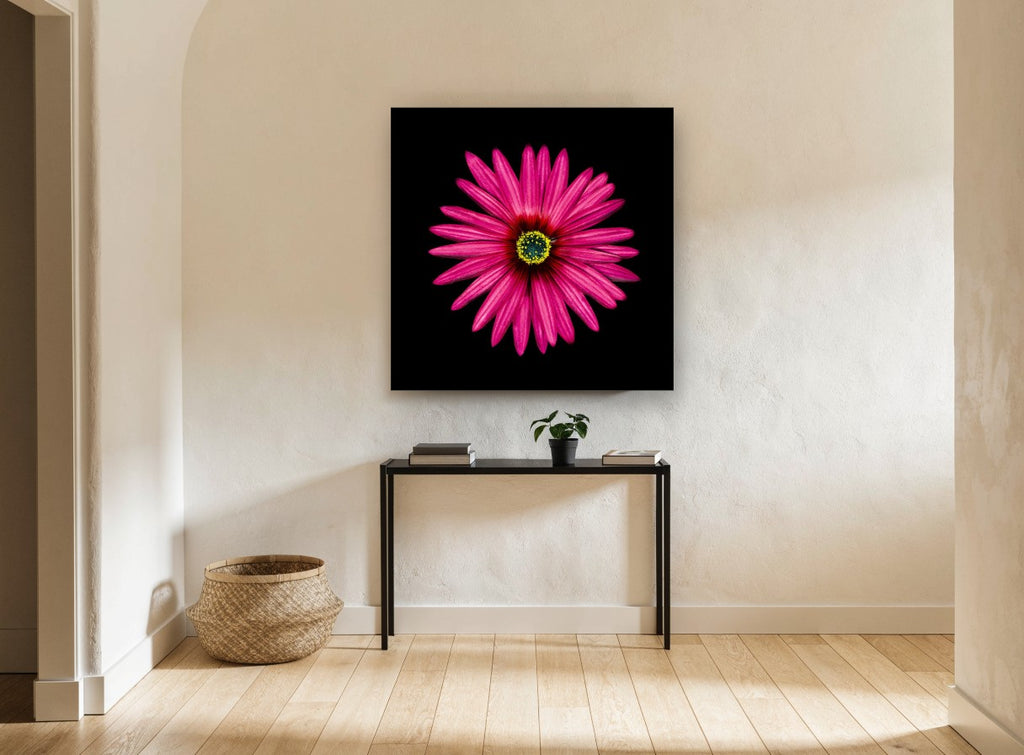 Magenta Daisy Burst floral canvas print on the wall of a hallway