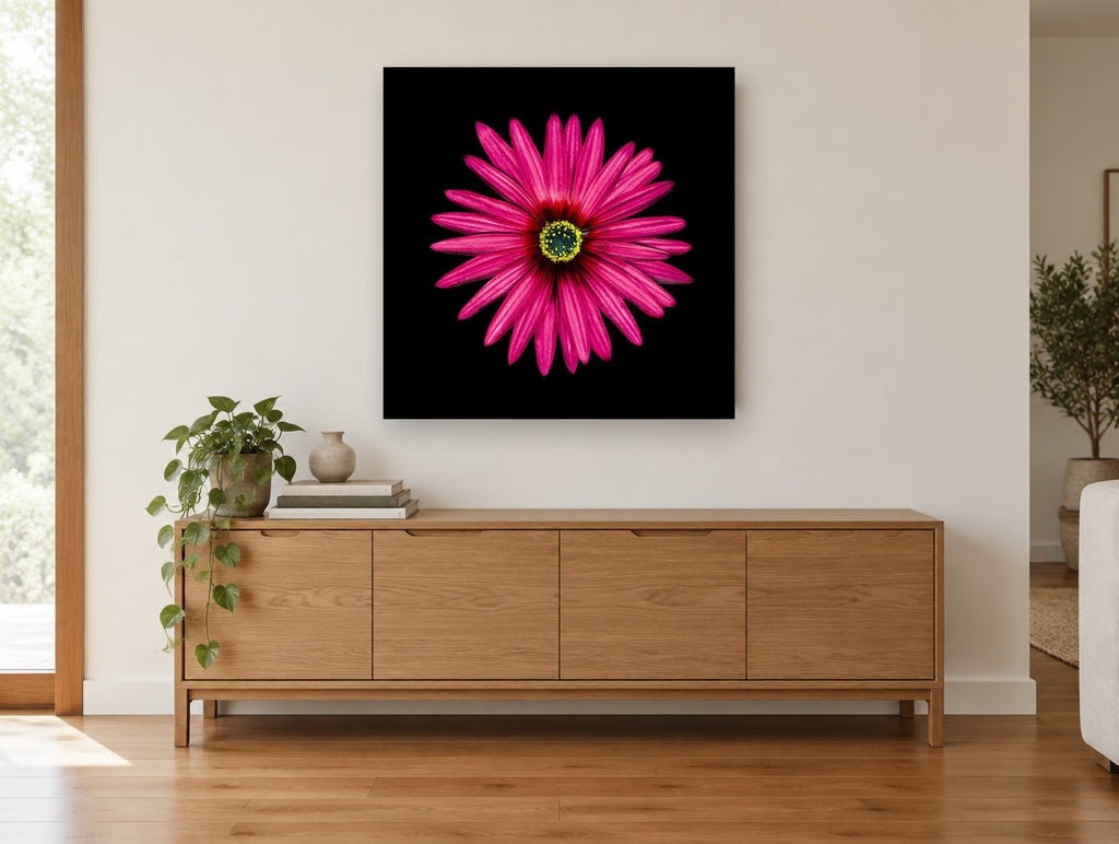 Magenta Daisy Burst floral canvas print on the wall of a living room above a sideboard
