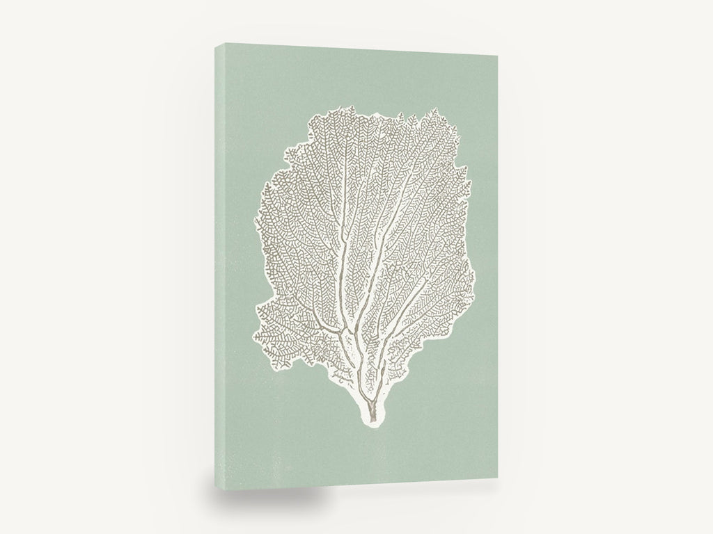 Sage Sea Fan, sea fan coral illustration sage green, coastal canvas wall art print ready to hang