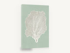 Sage Sea Fan, sea fan coral illustration sage green, coastal canvas wall art print ready to hang