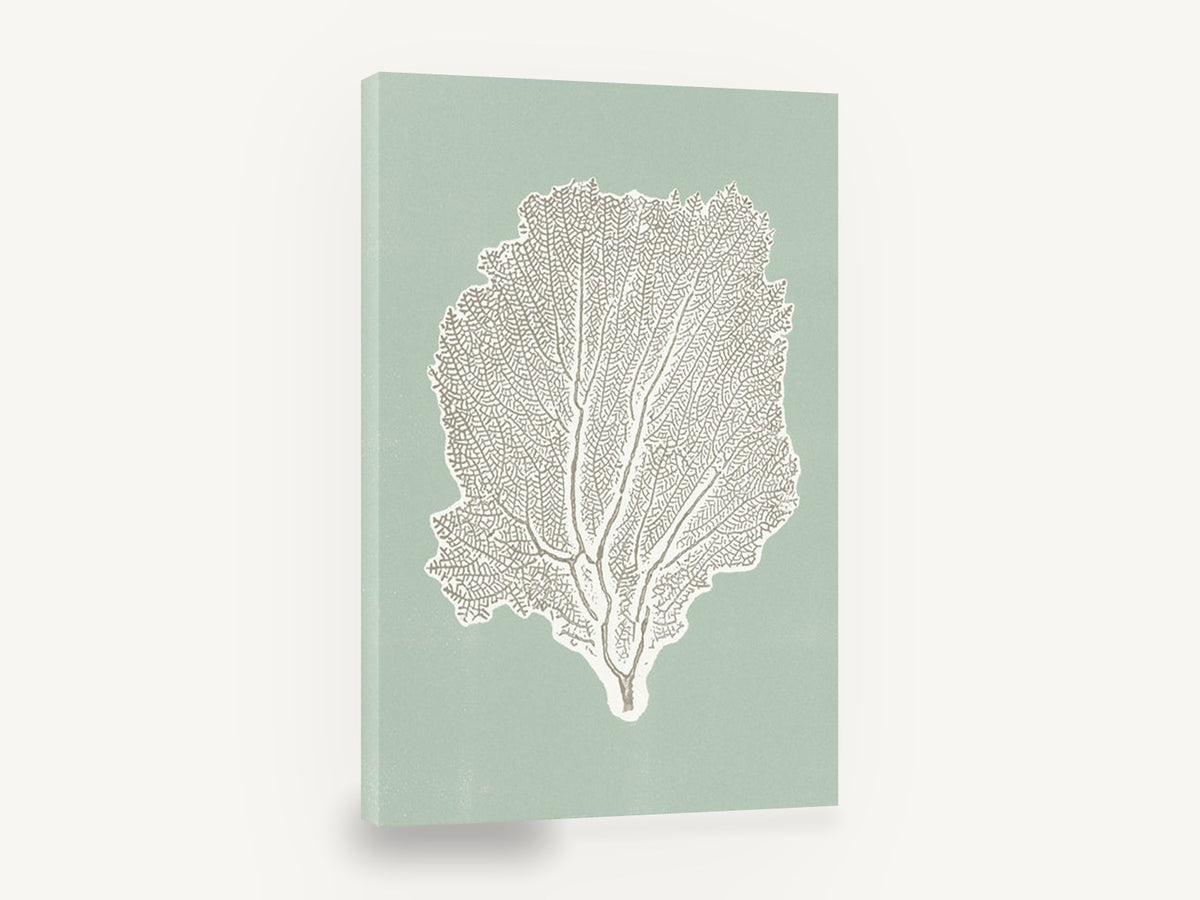 Sage Sea Fan, sea fan coral illustration sage green, coastal canvas wall art print ready to hang