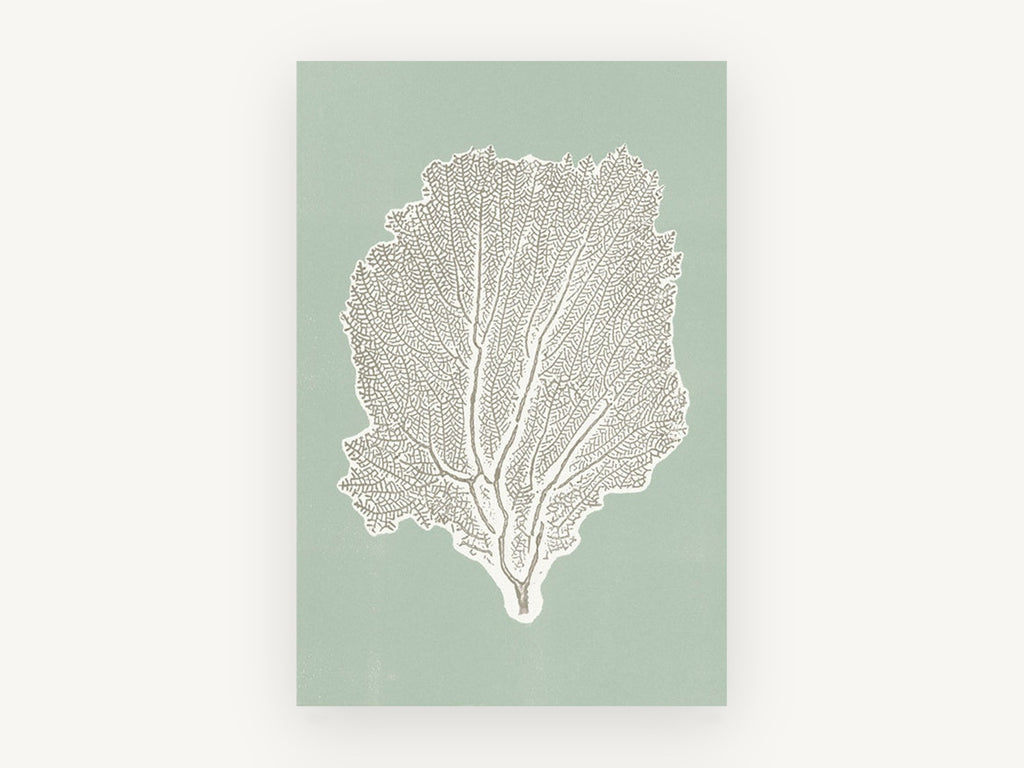 Sage Sea Fan, coastal canvas wall art print, front view