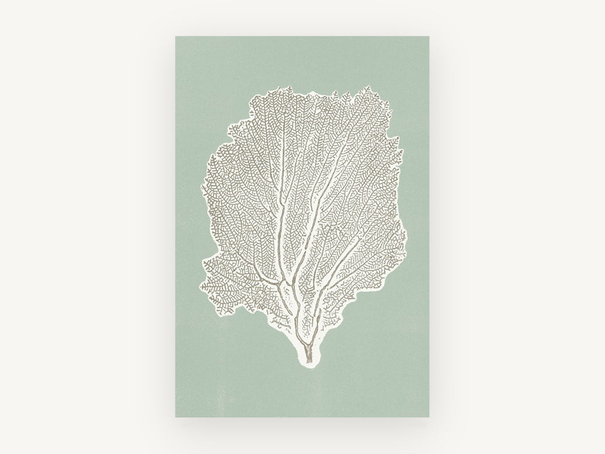 Sage Sea Fan, coastal canvas wall art print, front view