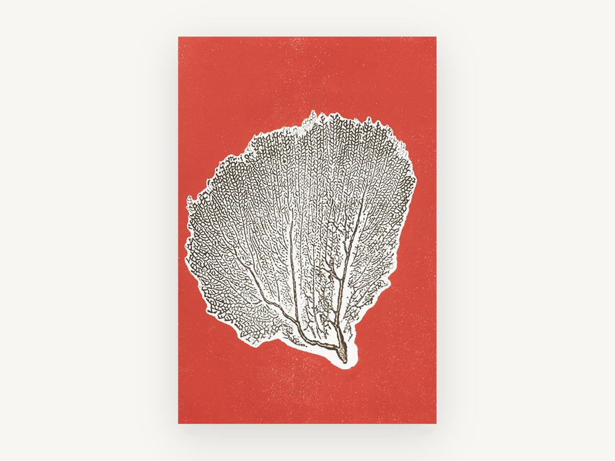 Red Sea Fan Silhouette, coastal canvas wall art print, front view
